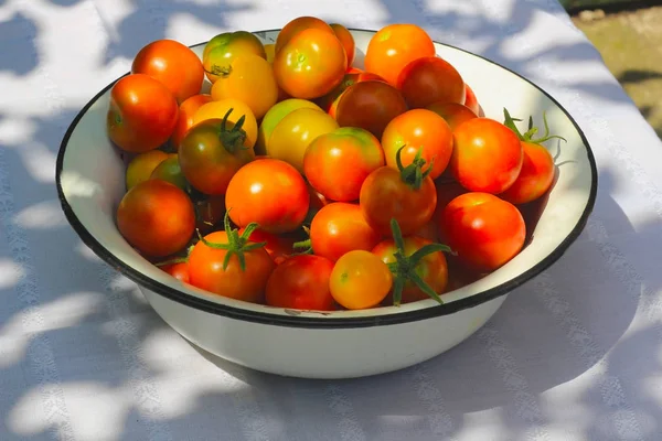 Tomates vermelhos maduros frescos — Fotografia de Stock