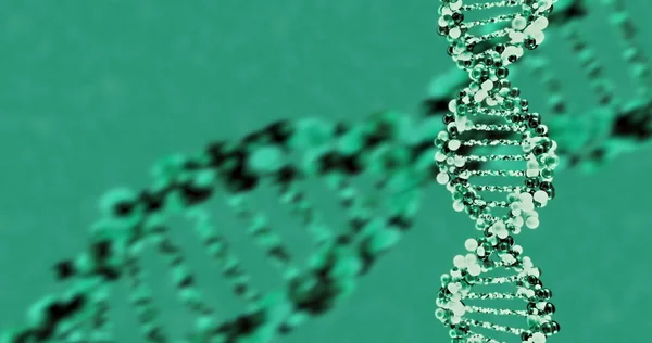 Структура молекул ДНК. 3D візуалізація — стокове фото