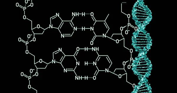 Dna の分子構造の背景 レンダリング図 — ストック写真