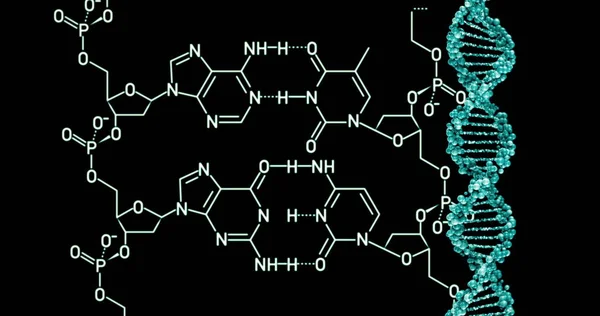 Dna 배경입니다 렌더링 — 스톡 사진