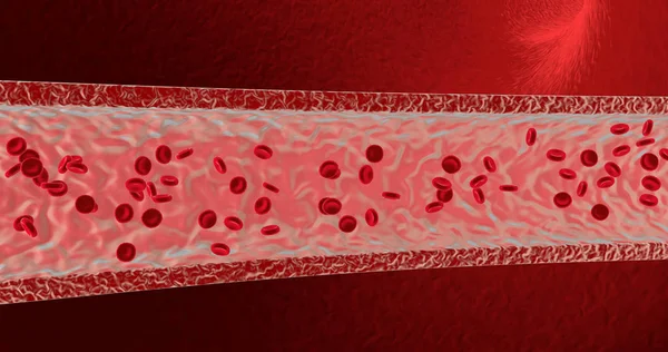 血液細胞。3 d レンダリング図 — ストック写真
