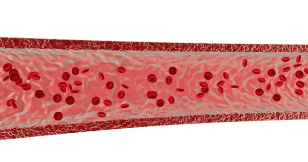 Кров'яні клітини. 3d ілюстрація рендеринга — стокове фото