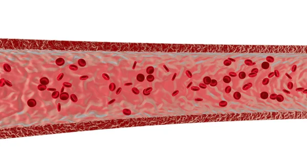 Cellule del sangue. Illustrazione rendering 3d — Foto Stock