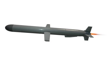 Cruise füzesi. 3d render