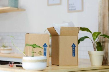 Kırılgan mühürlü nakliye paketleri