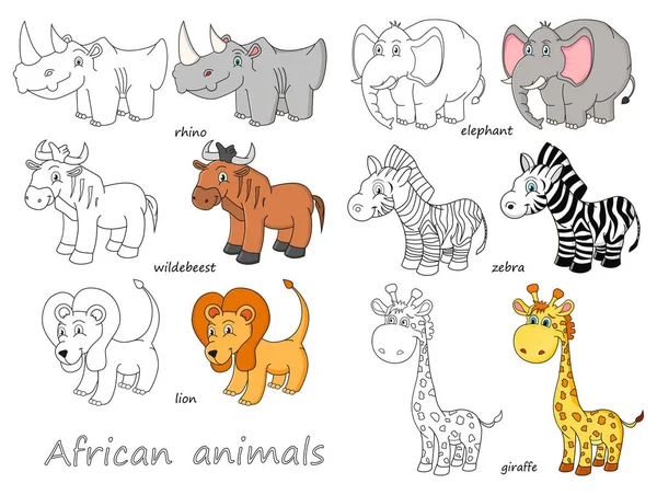Kreslený Afrických Zvířat Osnovy Barevné Vektorové Ilustrace — Stockový vektor