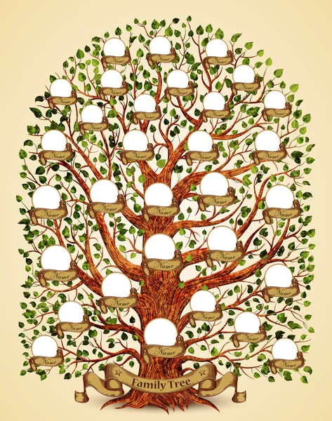 Шаблон Сімейного Дерева Старовинні Векторні Ілюстрації — стоковий вектор