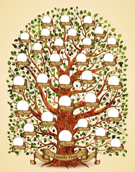 Family Tree Template Vintage Vector Illustration — Stock Vector