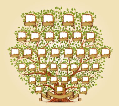 Family Tree şablon vektör çizimi