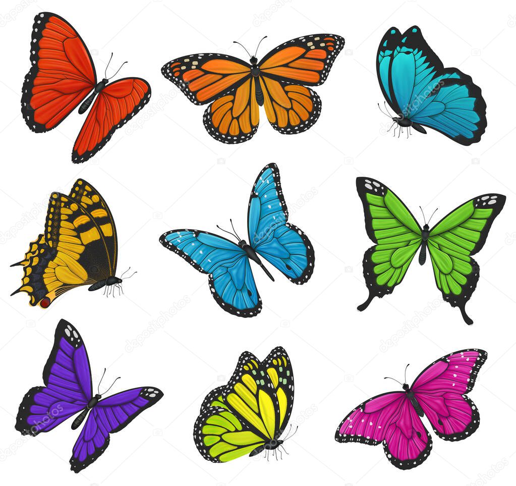 Big collection of colorful butterflies. Vector illustration