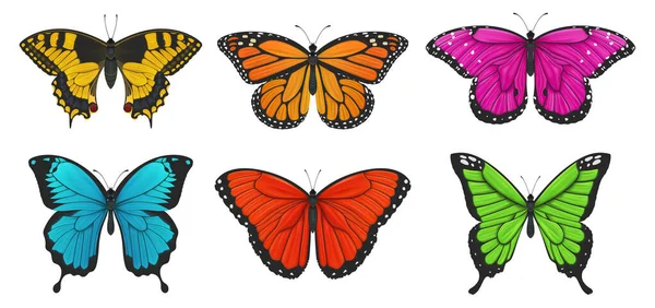 Een Set Kleurrijke Vlinders Vectorillustratie — Stockvector