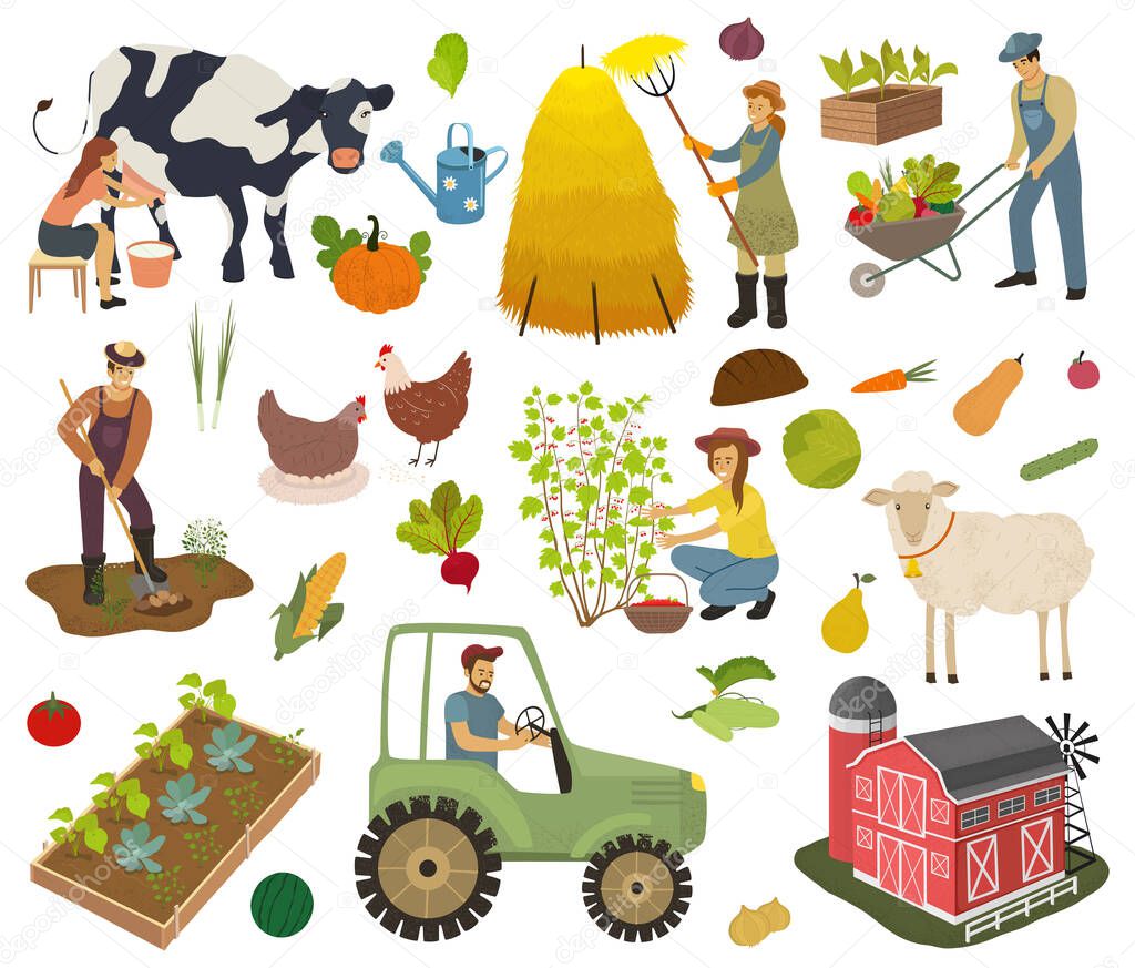 Farmers do agricultural work, planting, gathering crops. Woman milks a cow and picking berries. Agricultural workers. Farm animals, fruits and vegetables isolated vector illustration.