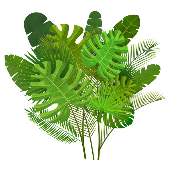 Folhas Tropicais Composição Vetor Ilustração —  Vetores de Stock