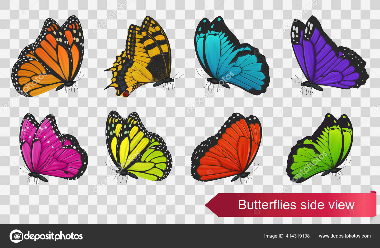 蝴蝶侧视孤立在透明的背景下矢量说明图库矢量图©Yayasya 414319138