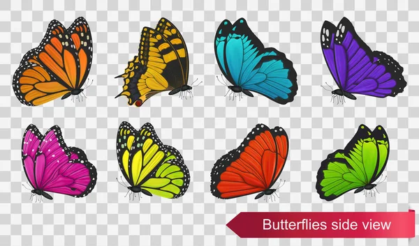 Butterflies Side View Isolated Transparent Background Vector Illustration — Stock Vector