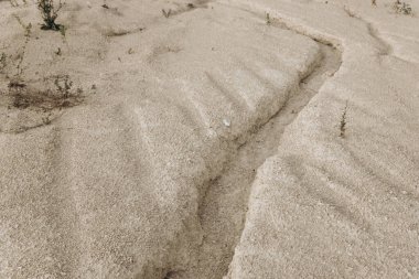 Kumun yüzeyinde büyük bir çatlak. Nadir bitkiler kumda bulunur..