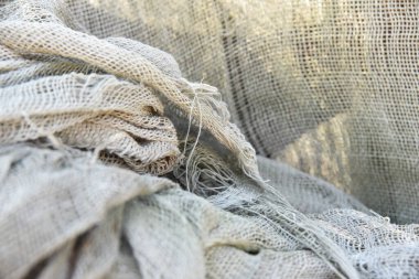 Kurutulmuş balıklara yakın durun.