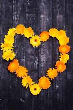 Tahta arka planda izole edilmiş taze sarı çiçeklerden yapılmış kalp sembolü. Sevgililer ve Anneler Günü için aşk konsepti.