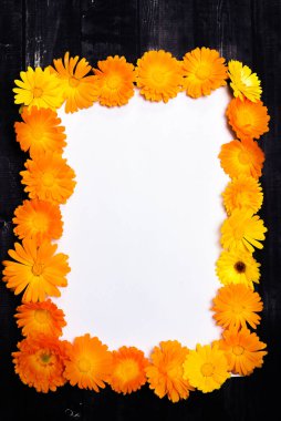 Sarı çiçeklerden yapılmış yuvarlak çerçeve çelenk ve beyaz arkaplanda yapraklar. Düz yerde, üst tarafta. Çiçek arka planı