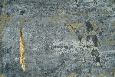 Beton bir duvarın arka planında kulak.