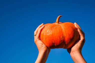 Uzayı kopyala Mavi gökyüzünün arka planına karşı ellerinde turuncu balkabağı.