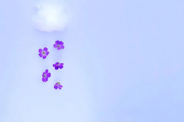 Pastel leylak arka planında çiçek yağmuru olan bulut. Yaratıcı bir fikir. Bir pankart için en küçük konsept