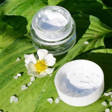 Kozmetik ve Spa prosedürleri kavramı, yeşil yapraklar ve doğal kozmetik üzerine krema ve banyo tuzu konulu cam bir kavanoz. kapatılacak