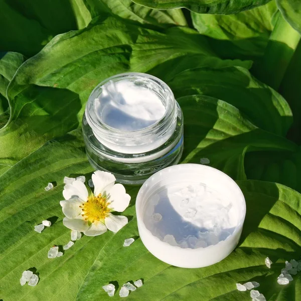 Kozmetoloji ve Spa prosedürleri kavramı, yeşil yapraklı, doğal kozmetik ürünleri üzerine krema ve banyo tuzu konulu cam bir kavanoz. kapatılacak