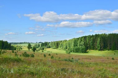 Güneşli bir yaz gününde manzara ve yeşil orman. Sağlıklı yaşam tarzı ve temiz hava kavramı..