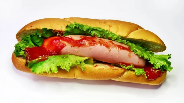 Hafif arka planda bir hareket köpeği. Abur cubur konsepti, yakın plan..