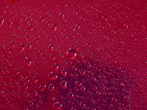 Kırmızı arkaplanda siyah gölgeli bir su damlasının soyut görüntüsü