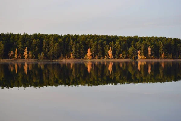 Gyönyörű őszi táj a tó és az erdő mellett — Stock Fotó
