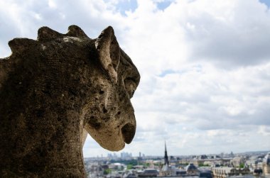 Gargoyle in Notre Dame