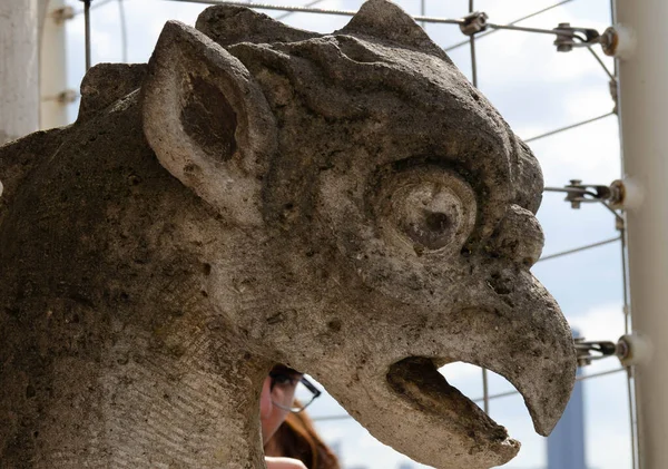 Gargoyle in Notre Dame
