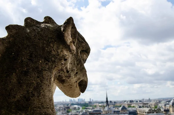 Gargoyle in Notre Dame