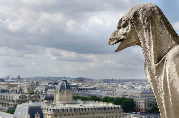 Gargoyle in Notre Dame
