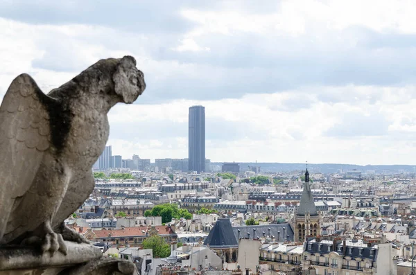 Gargoyle in Notre Dame