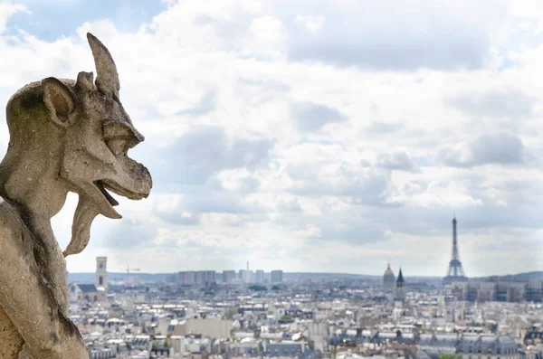 Gargoyle in Notre Dame