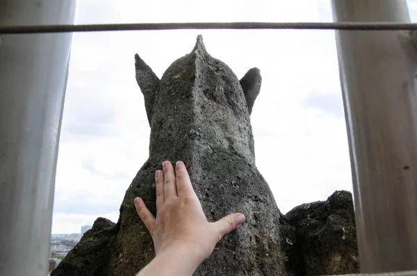 Gargoyle in Notre Dame