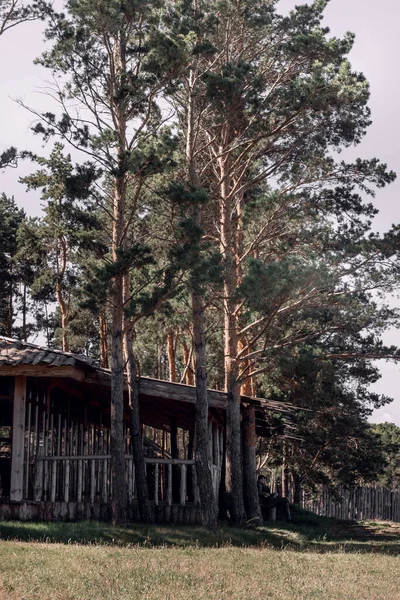 Ormanda verandalı bir ev.