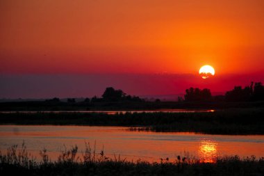Nehrin üzerinde güzel kırmızı ve turuncu gün batımı. Altın alacakaranlık, güneş ışığı su dalgalarına yansıyor. Karanlık ağaçların silueti..