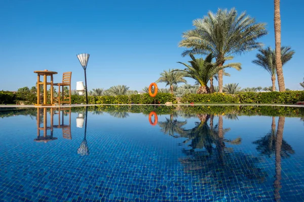 Zwembad Met Helder Blauw Water Palmbomen Blauwe Lucht Zomer Luxe — Stockfoto