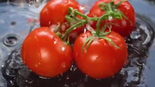 トマトは水の中に落ち、熟したトマトの束は水のスプレーで、 4 K — ストック動画