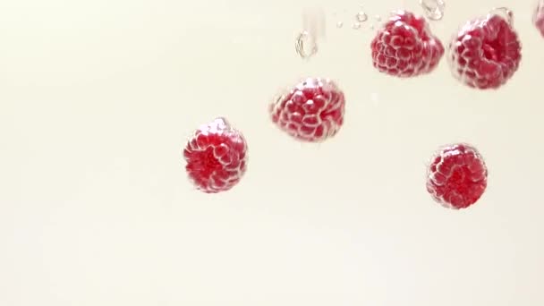 Maliny padají do vody. Zralé malinové stříkance ve vodě, detailní záběr. — Stock video