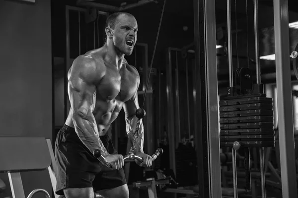 Sport and fitness. Muscular bodybuilder in the gym training with dumbbells.