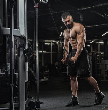 Çekici uzun kaslı vücut geliştirici. Moder fitness merkezinde ağırlık kaldırıyor..