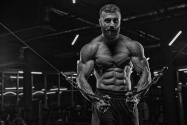 Çekici uzun kaslı vücut geliştirici. Moder fitness merkezinde ağırlık kaldırıyor..