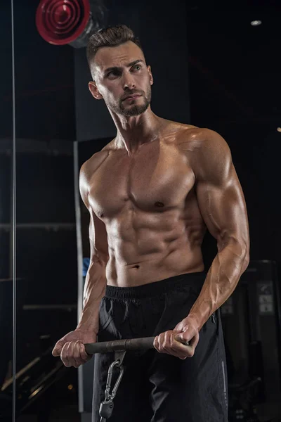 Muscular bodybuilder guy doing exercises with dumbbells in gym