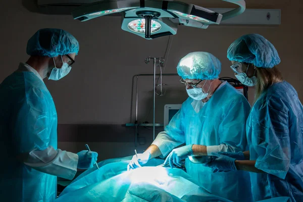 cheerful team of studentspassing exams in operating room at the hospital.close up photo, good job