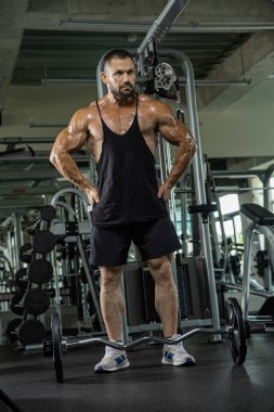 Çekici uzun kaslı vücut geliştirici. Moder fitness merkezinde ağırlık kaldırıyor..